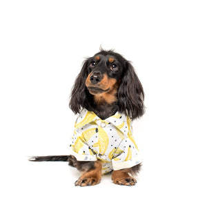Banana Dog BBQ Tee