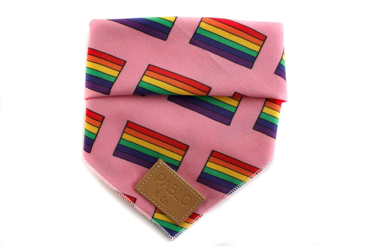 The Pride Flag: Bandana