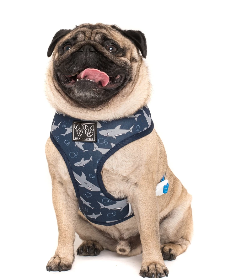 Fintastic: Reversible Dog Harness