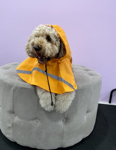 Dog Raincoat Poncho