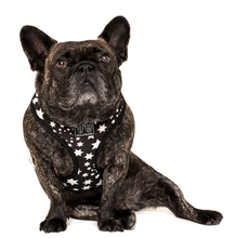 Load image into Gallery viewer, Shoot for the stars: Adjustable harness