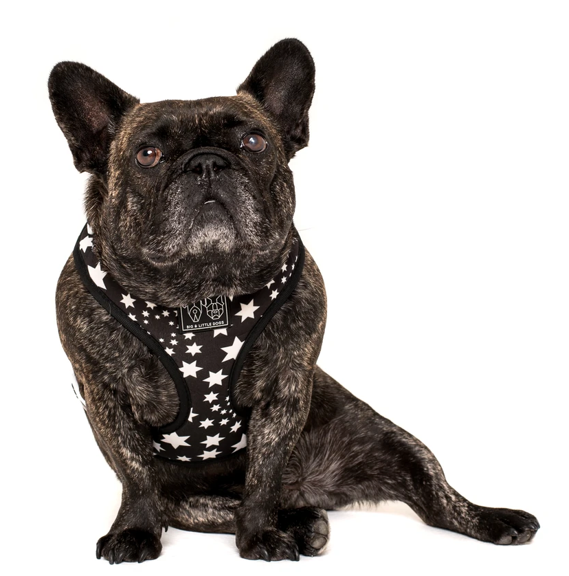 Shoot for the stars: Adjustable harness