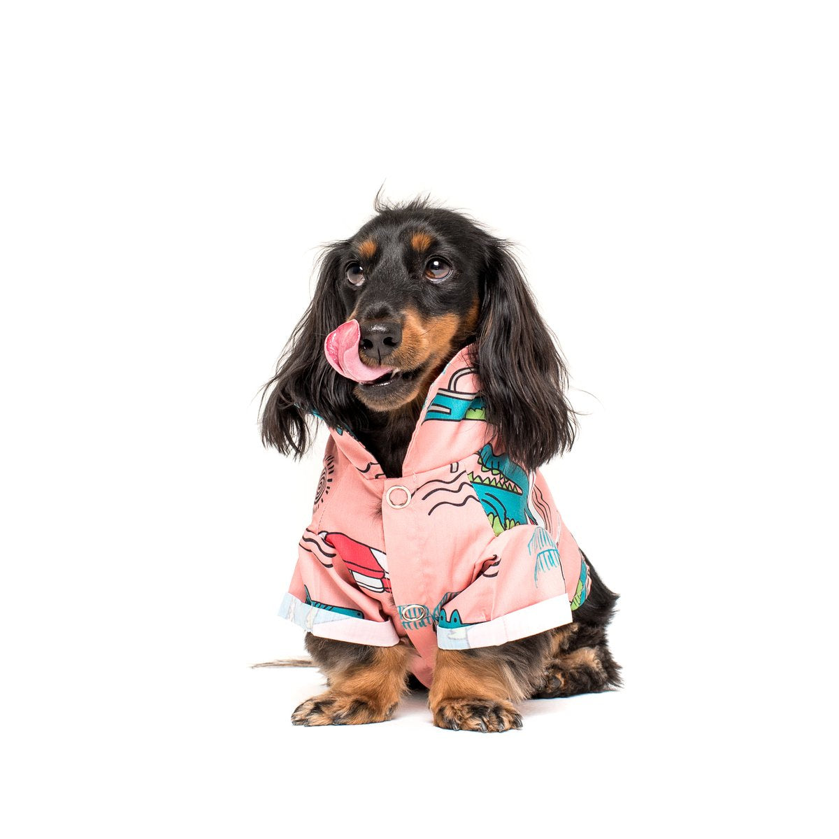 See Ya Later Alligator Dog BBQ Tee