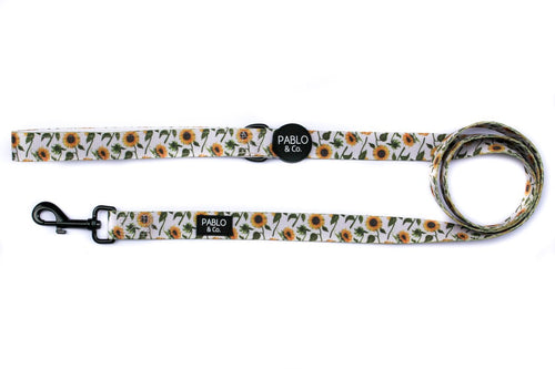 Sunflowers: Leash