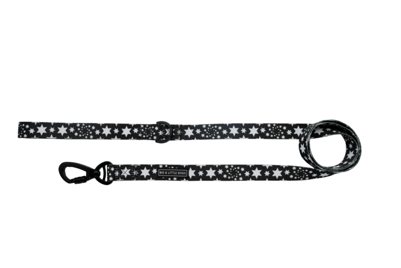 Shoot For The Stars: Leash