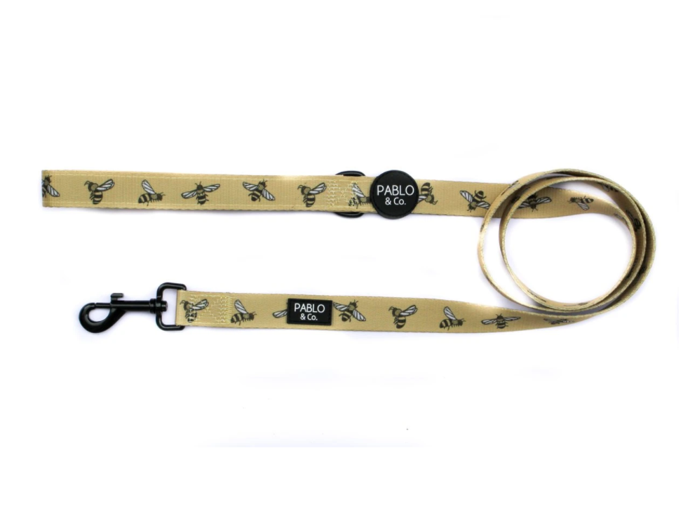 Bumblebee: Leash