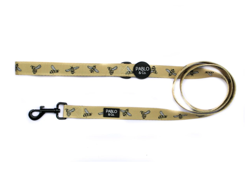 Bumblebee: Leash