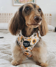 Load image into Gallery viewer, Sunflowers: Adjustable Harness