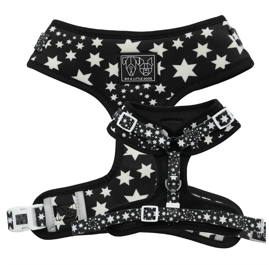 Shoot for the stars: Adjustable harness