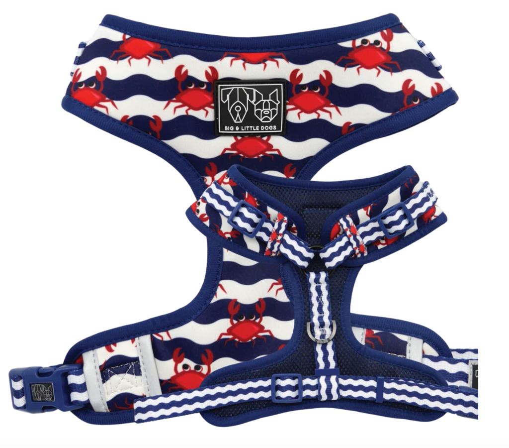 Under The Sea: Adjustable Harness