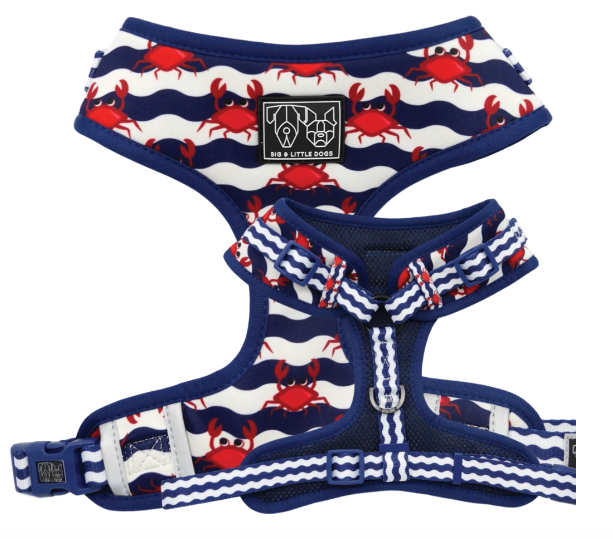 Under The Sea: Adjustable Harness