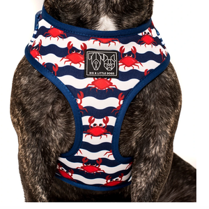 Under The Sea: Adjustable Harness