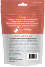 Load image into Gallery viewer, Freeze Dried Dog Treats - Salmon with Carrot and Kale 100g