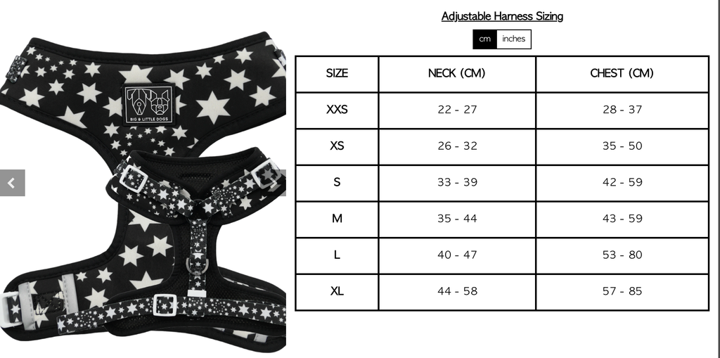 Shoot for the stars: Adjustable harness
