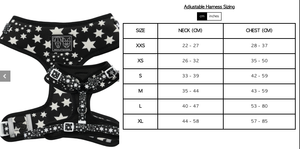Shoot for the stars: Adjustable harness