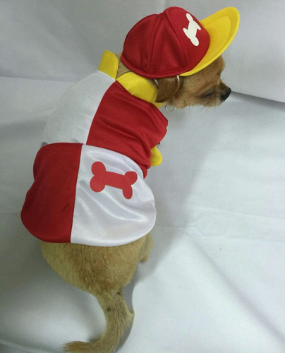 Jockey Silks and Cap