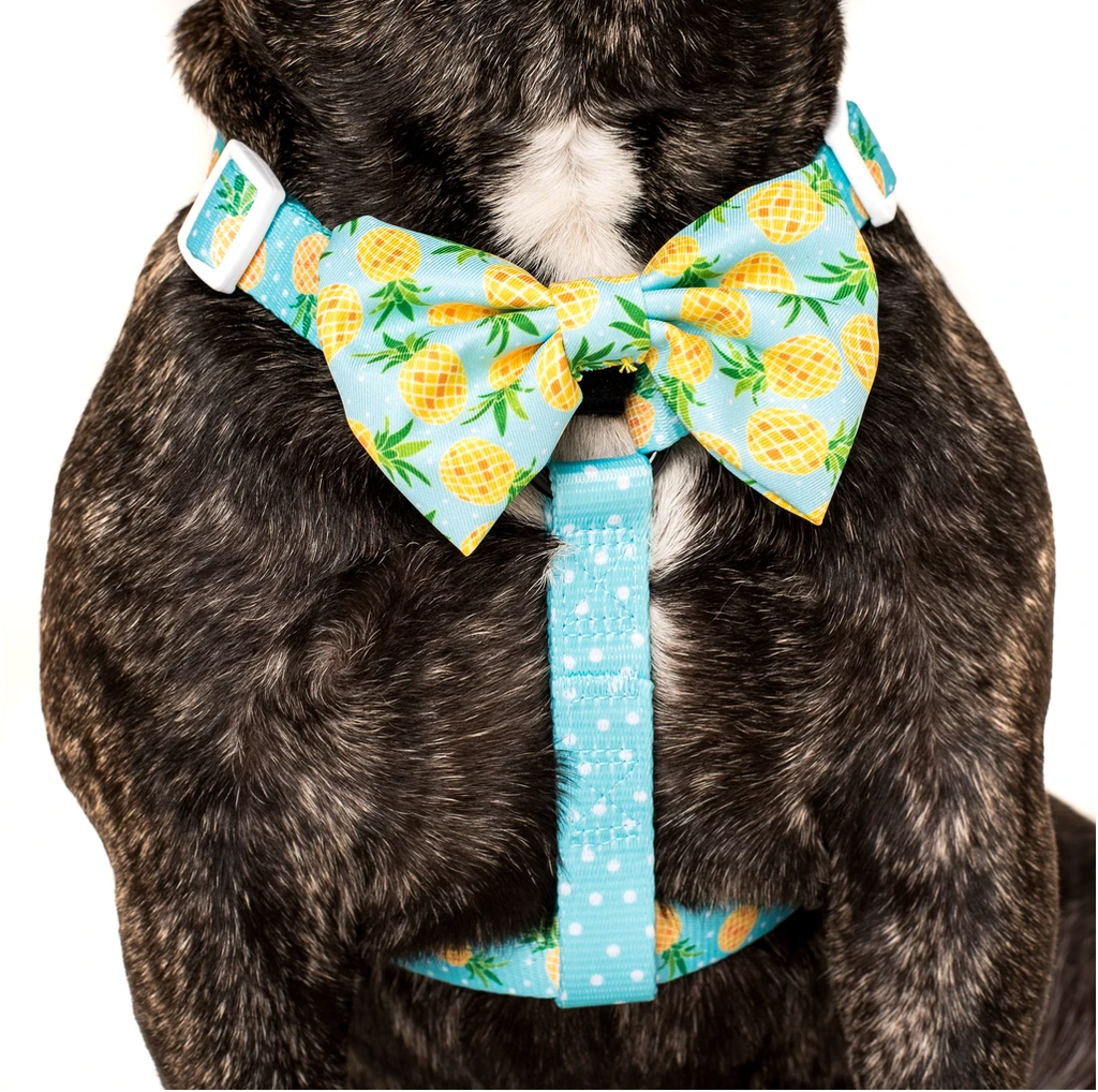 Fine-apple: Dog Harness