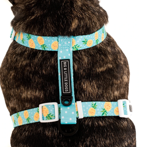 Fine-apple: Dog Harness