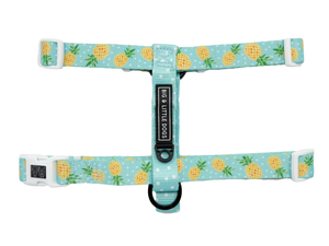 Fine-apple: Dog Harness