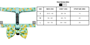 Fine-apple: Dog Harness