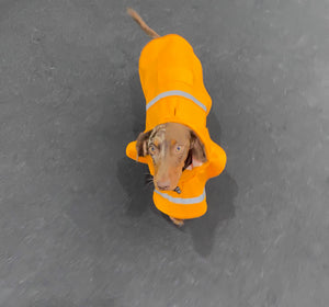 Dog Raincoat Poncho