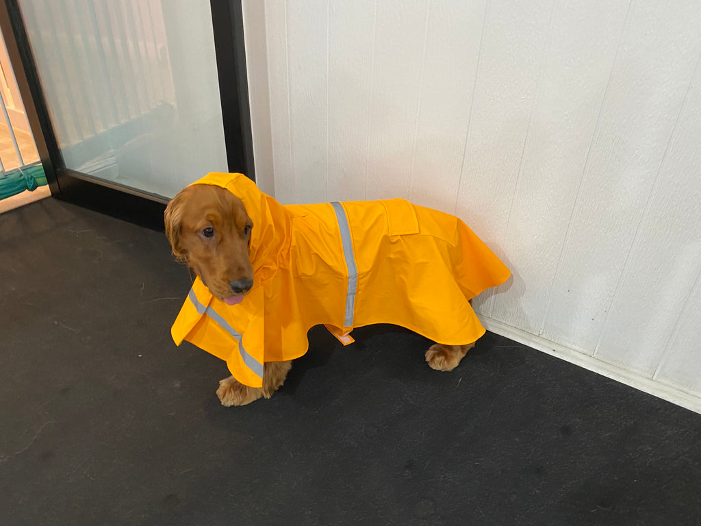 Dog Raincoat Poncho