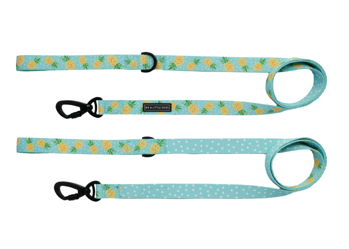 Fine-apple: Dog Leash
