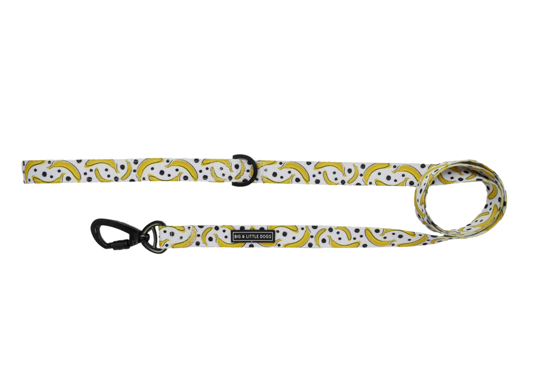 Going Bananas: Dog Leash