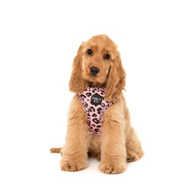 Load image into Gallery viewer, Pink Leopard: Adjustable Harness