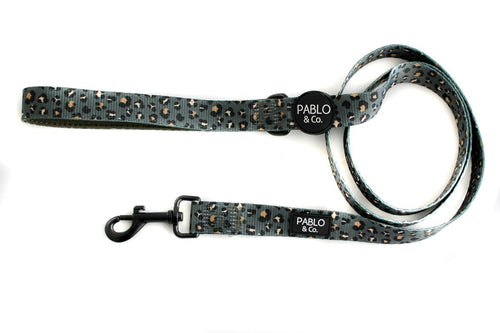 The Khaki Leopard: Leash